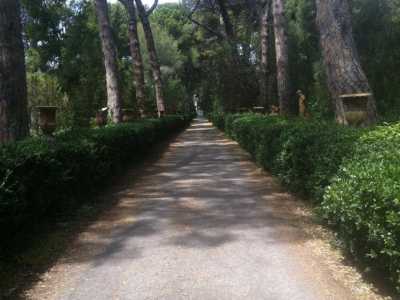 Villa Bonomo- Viale lungo 420 passi che collega l'androne di entrata alla villa